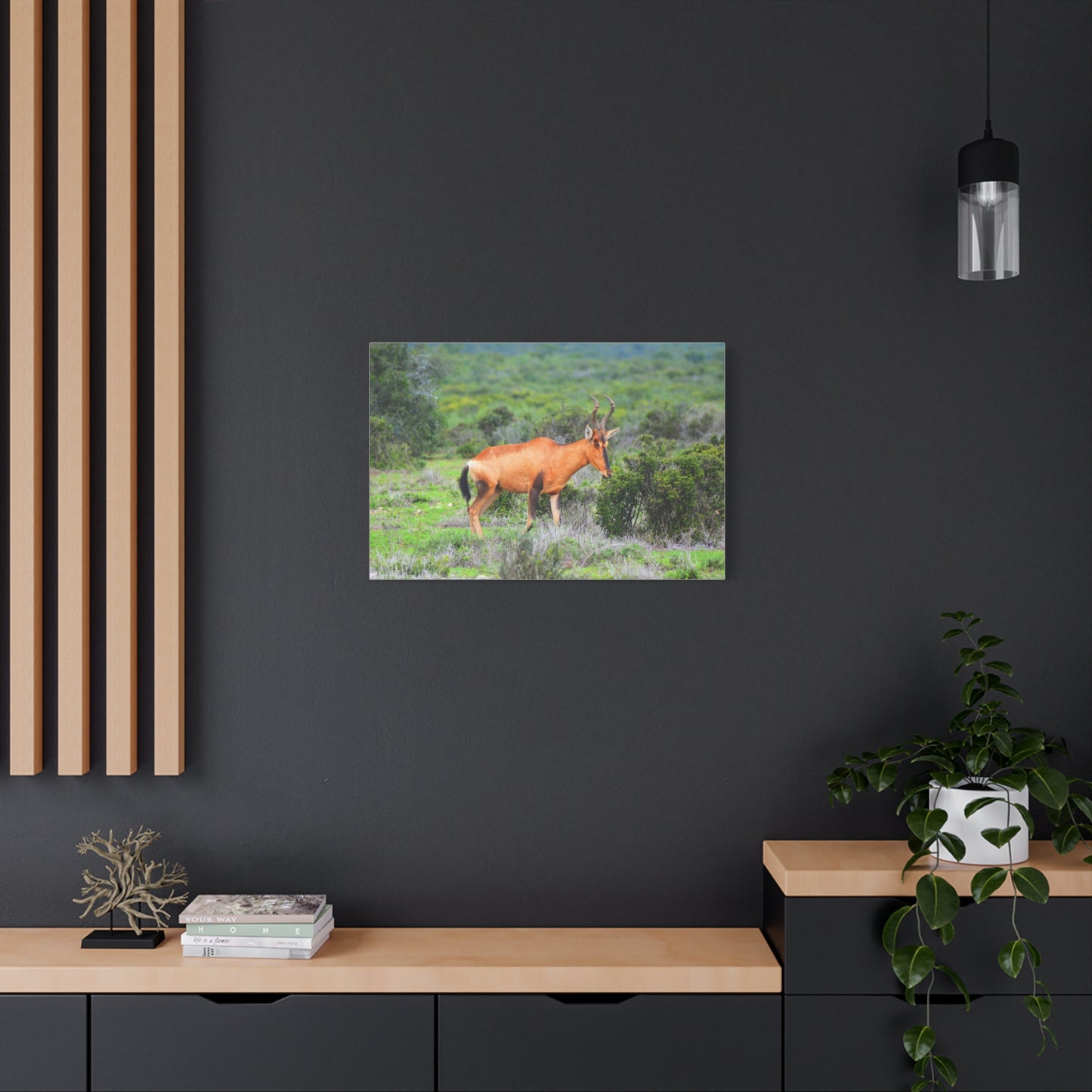 Africa Red Hartebeest - Canvas Print