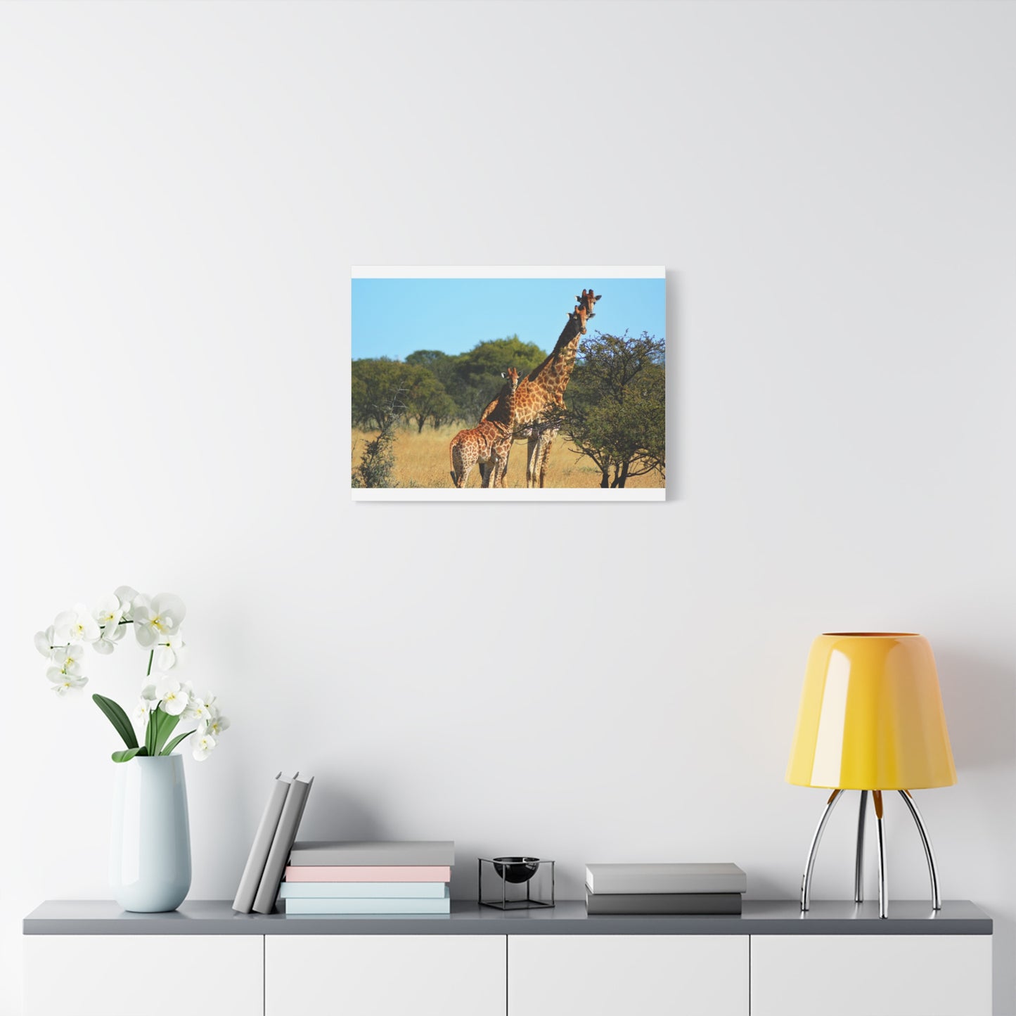 Giraffe Family in Africa