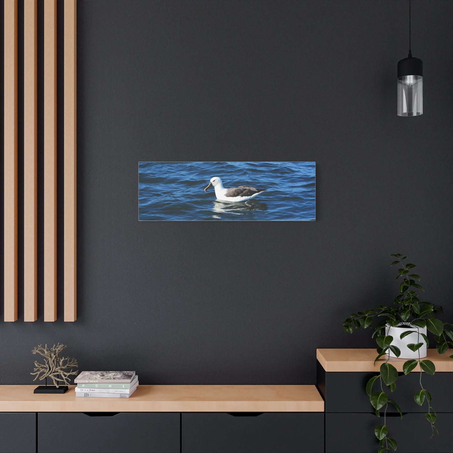 Albatross Canvas Print Sea Bird