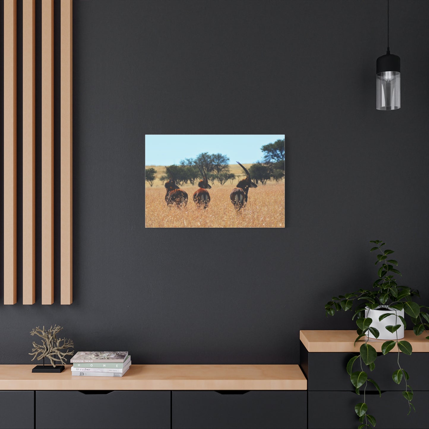 Sable Trio in Africa Canvas Print
