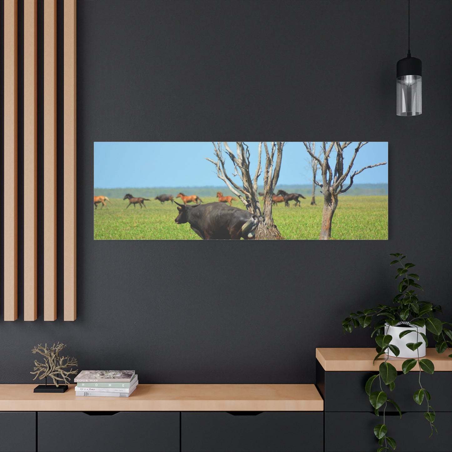 Australia Banteng - Canvas Print