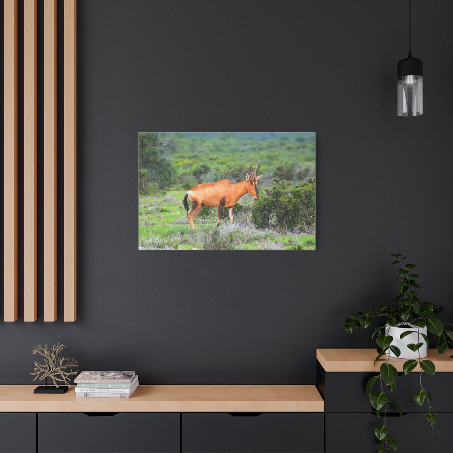 Africa Red Hartebeest - Canvas Print