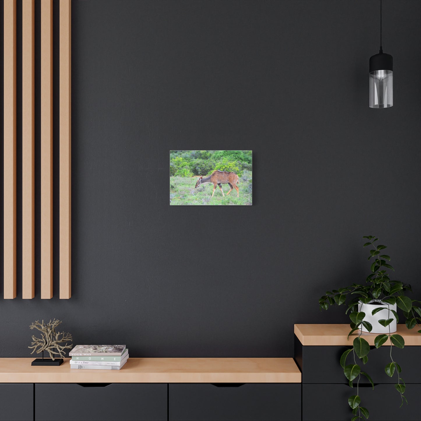 Africa Kudu Cow - Canvas Print
