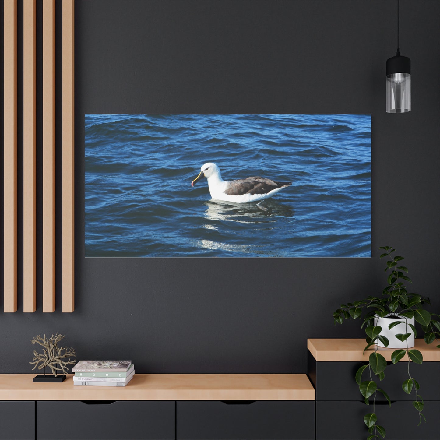 Albatross Canvas Print Sea Bird