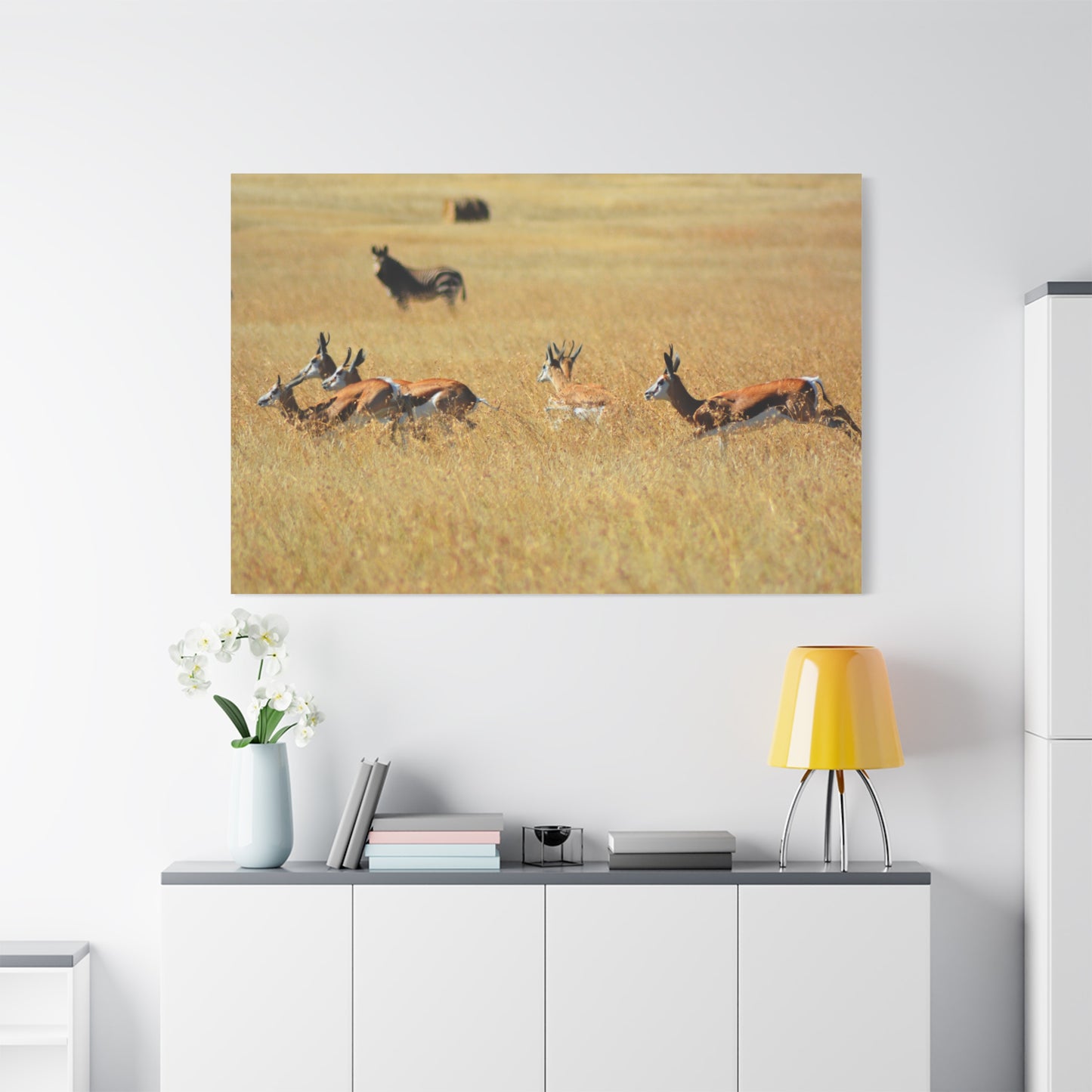 Springbok Herd in African Savannah