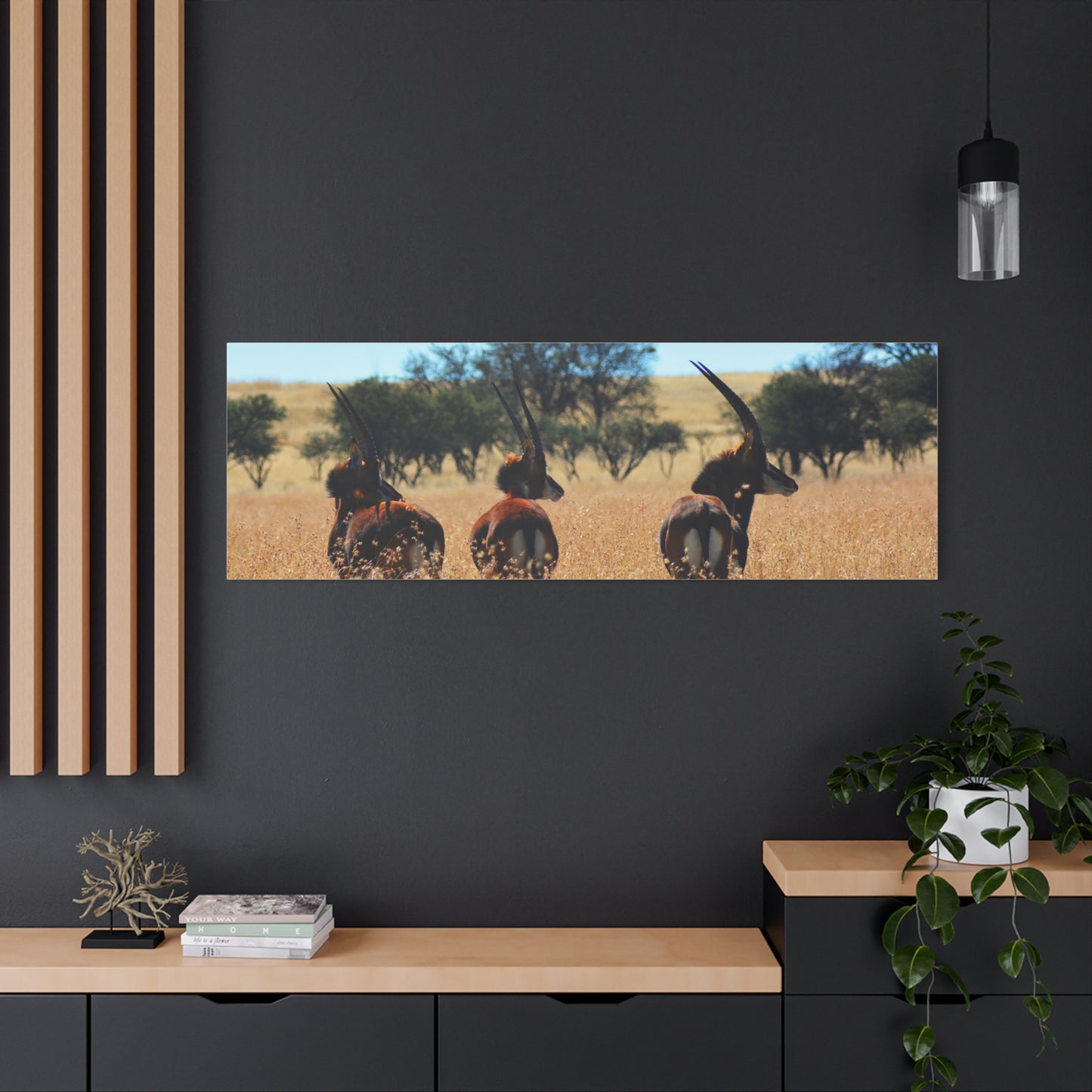 Sable Trio in Africa Canvas Print