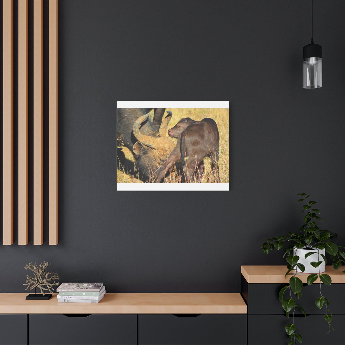 Cape Buffalo Tends to Calf