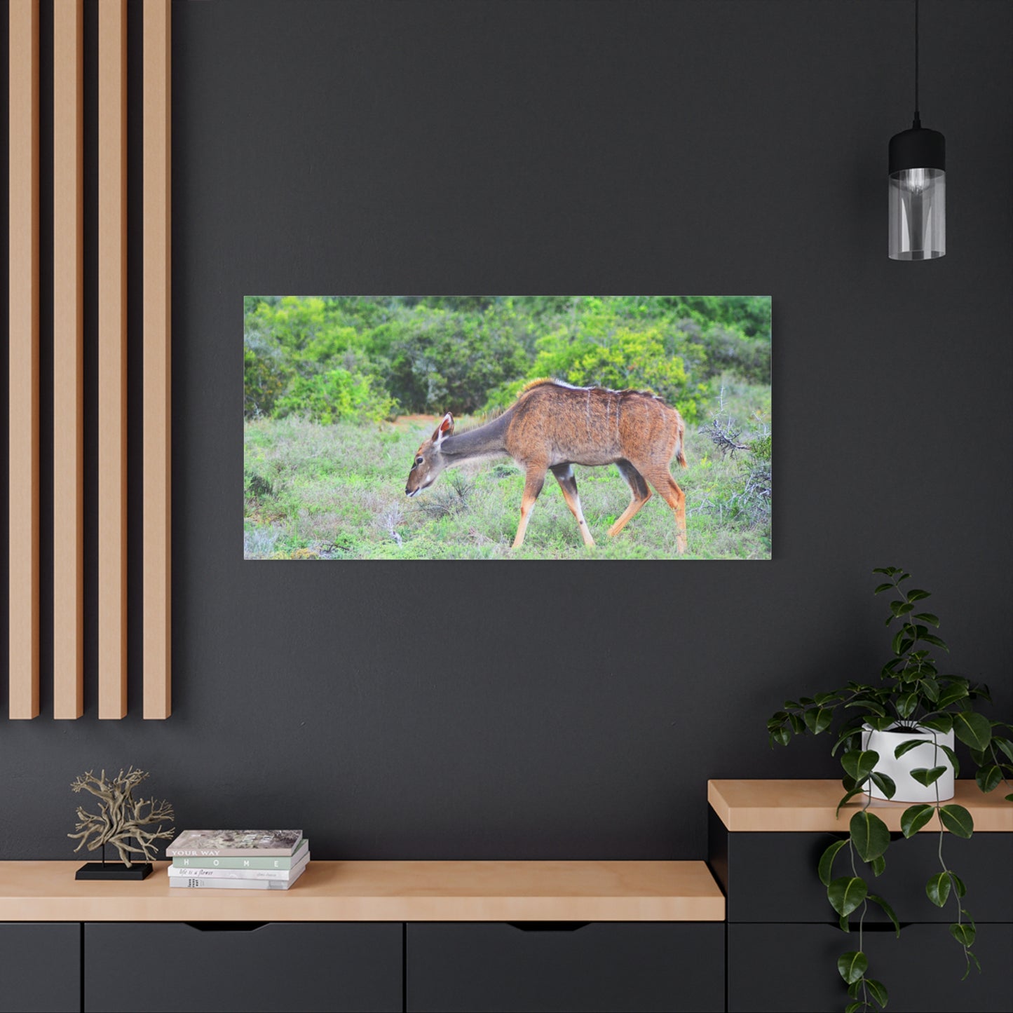 Africa Kudu Cow - Canvas Print