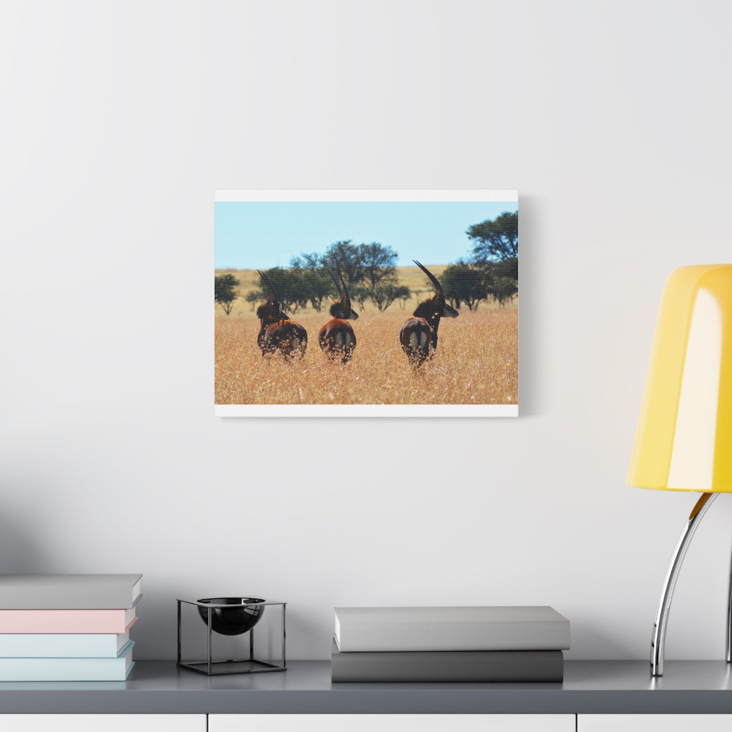 Sable Trio in Africa Canvas Print