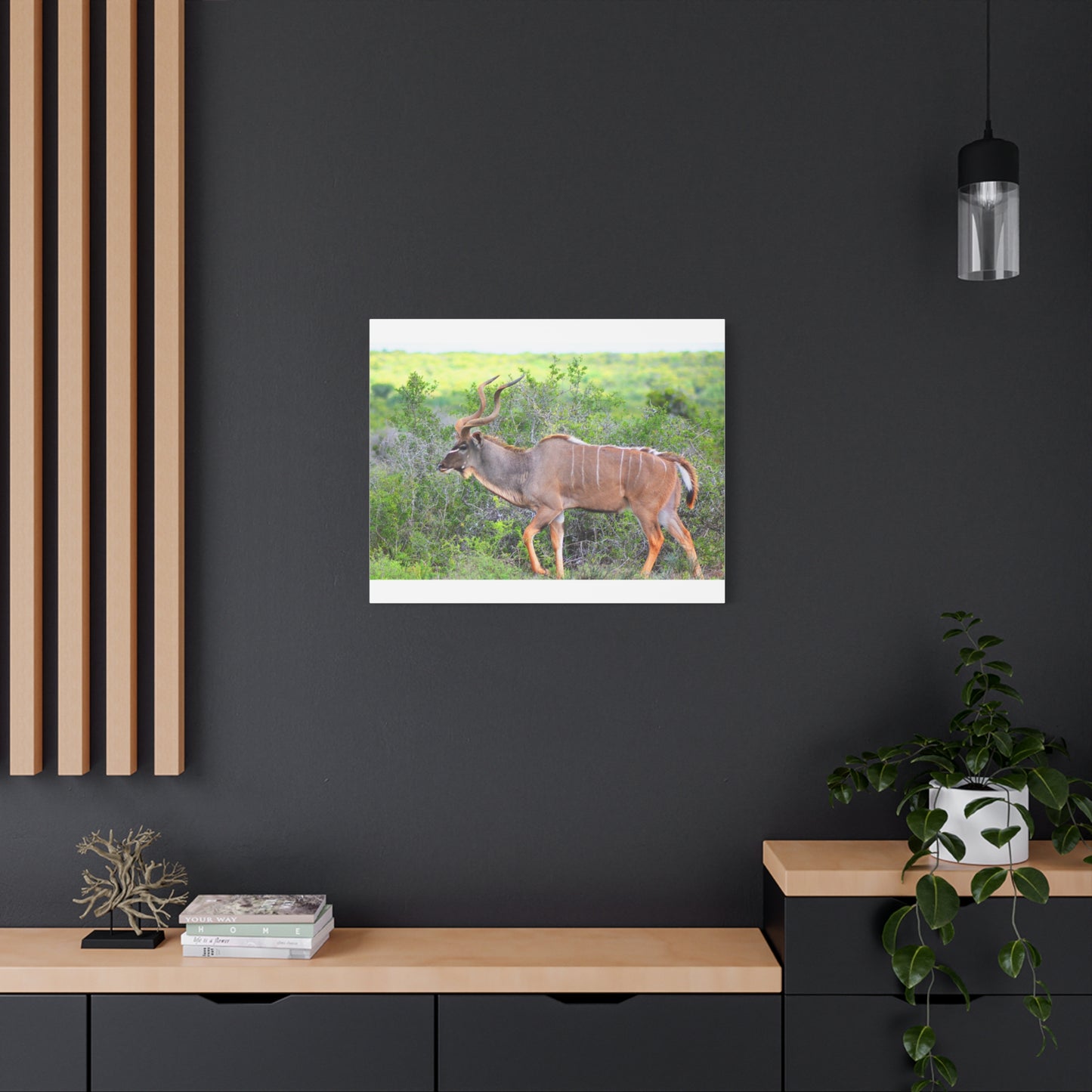 Africa Kudu Bull - Canvas Print