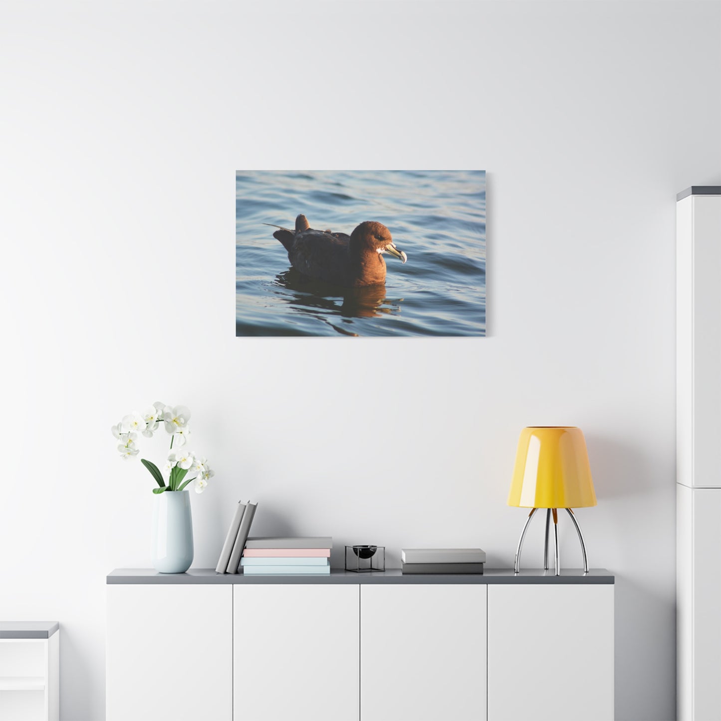 Bird Art Wall Decor, Coastal Wall Art, Ocean Decor, Nature Photography, Sea Bird Print