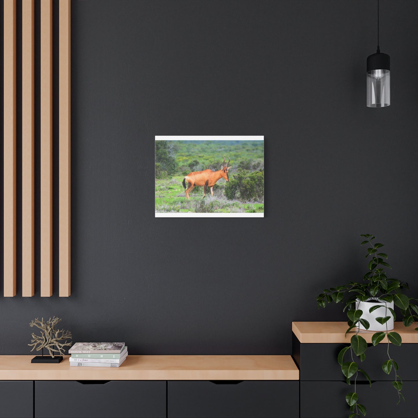Africa Red Hartebeest - Canvas Print