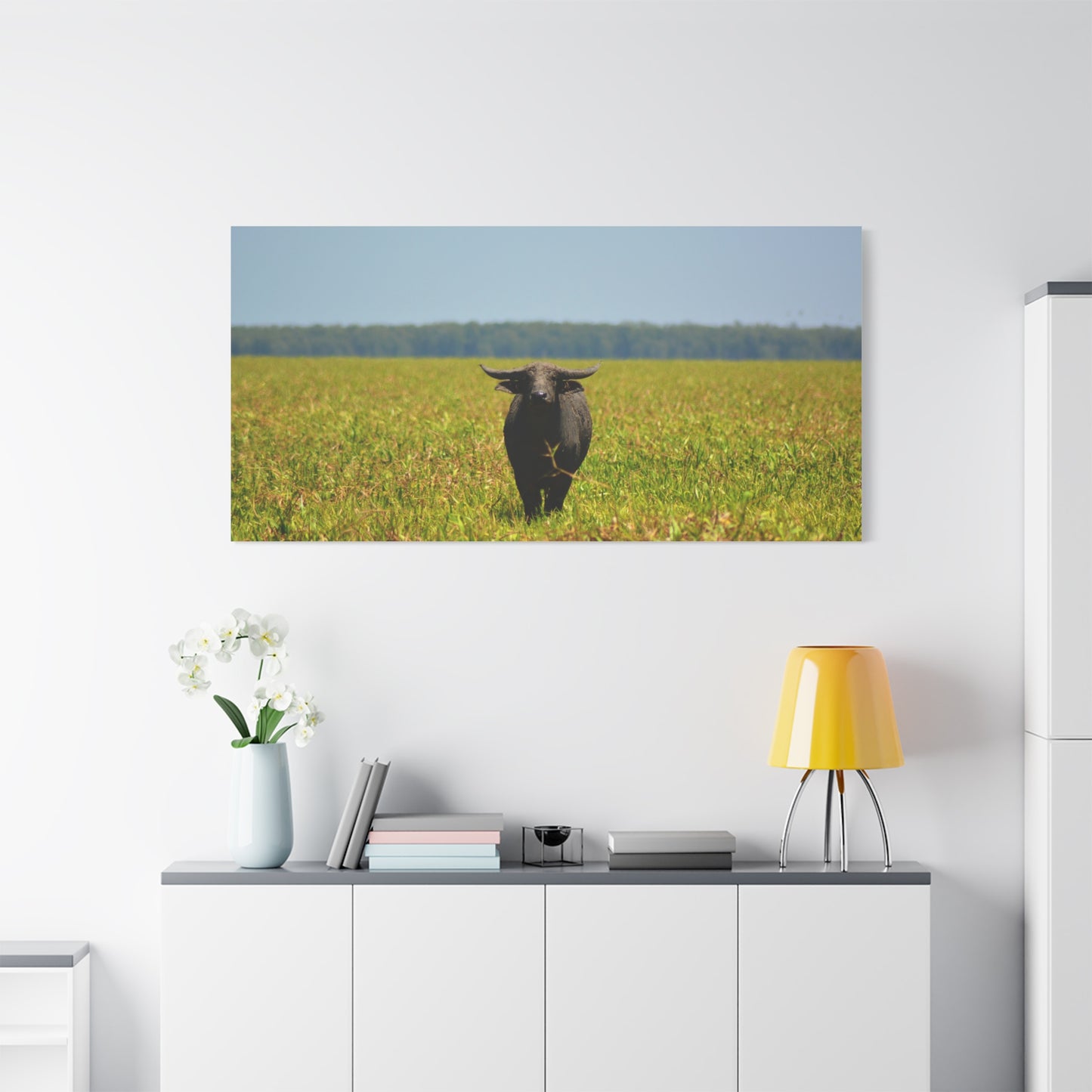 Asiatic Water Buffalo Australian Outback - Canvas Print