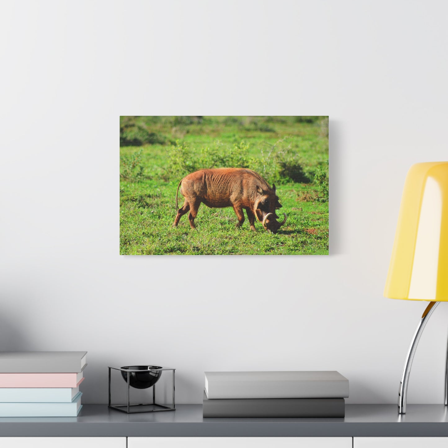 African Warthog - Canvas Print