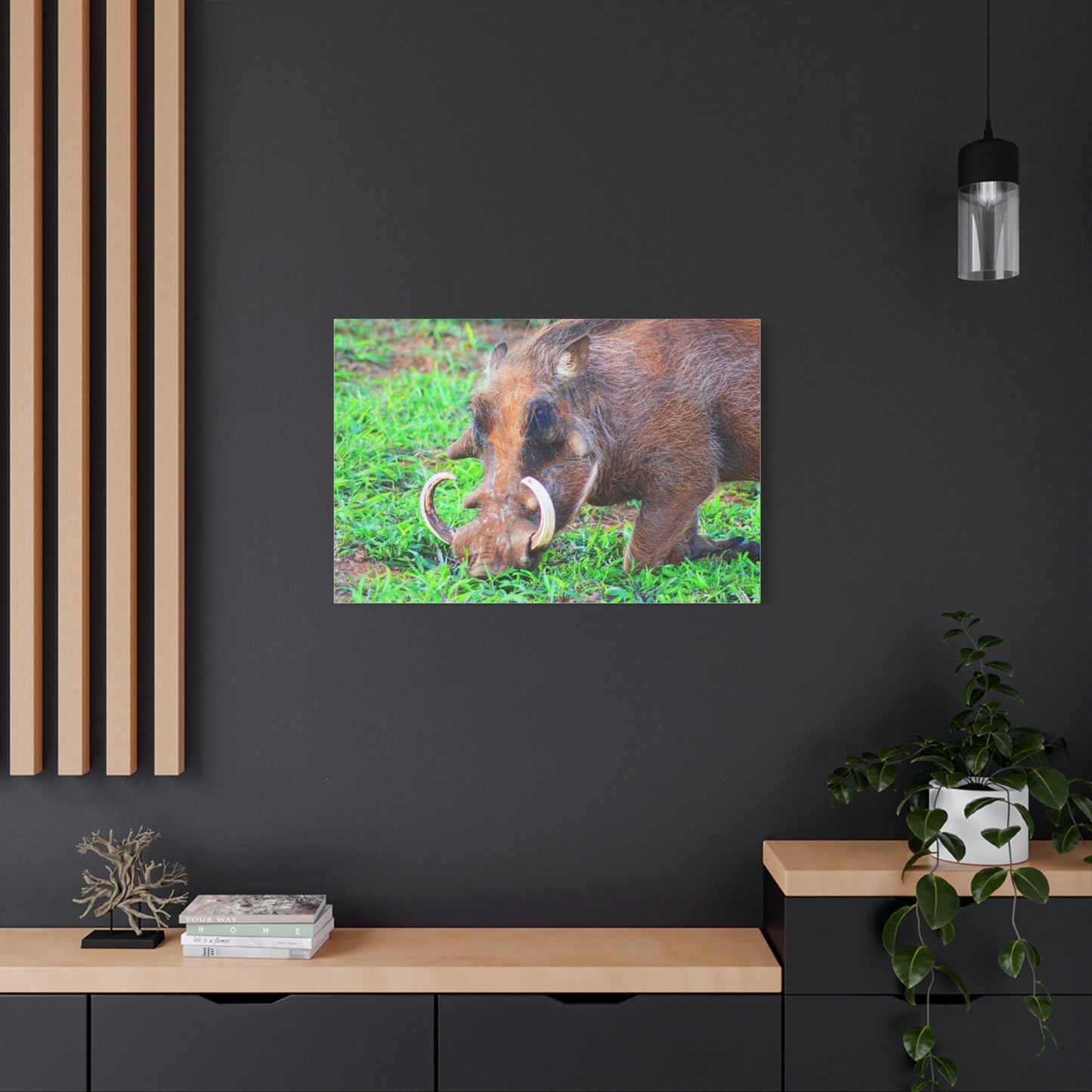 African Warthog Eating - Canvas Print