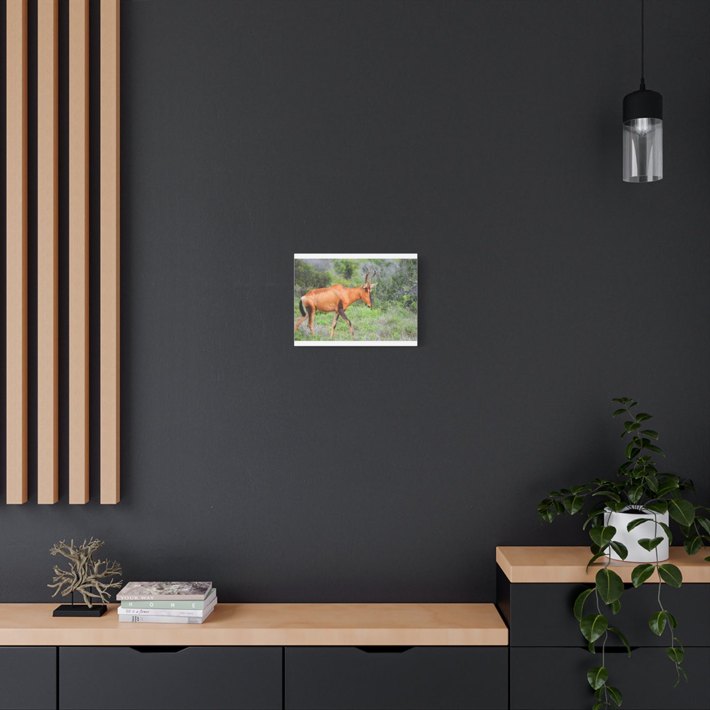 Red Hartebeest - Canvas Print