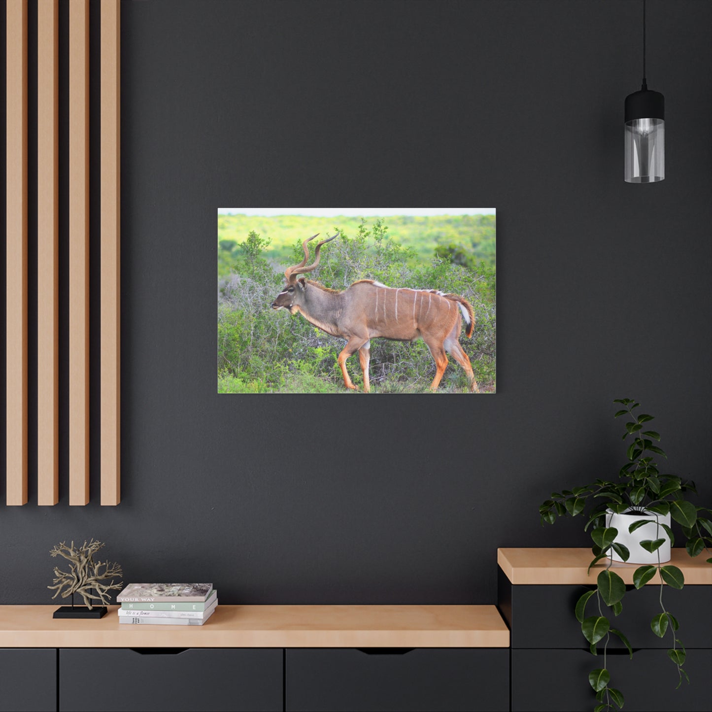 Africa Kudu Bull - Canvas Print