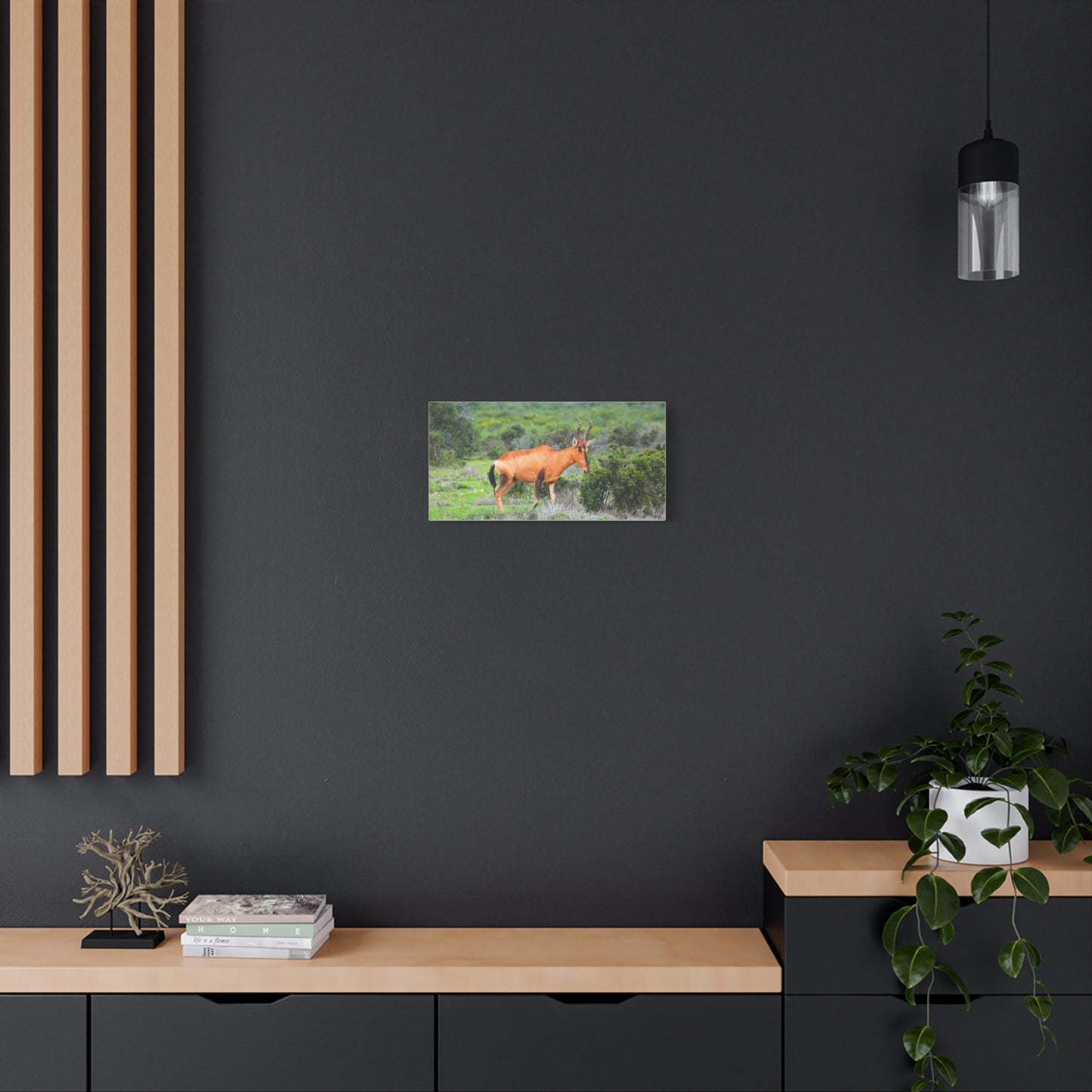 Africa Red Hartebeest - Canvas Print