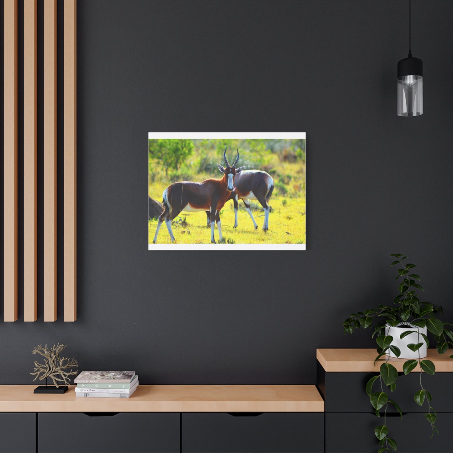 Blesbok in Africa - Canvas Print