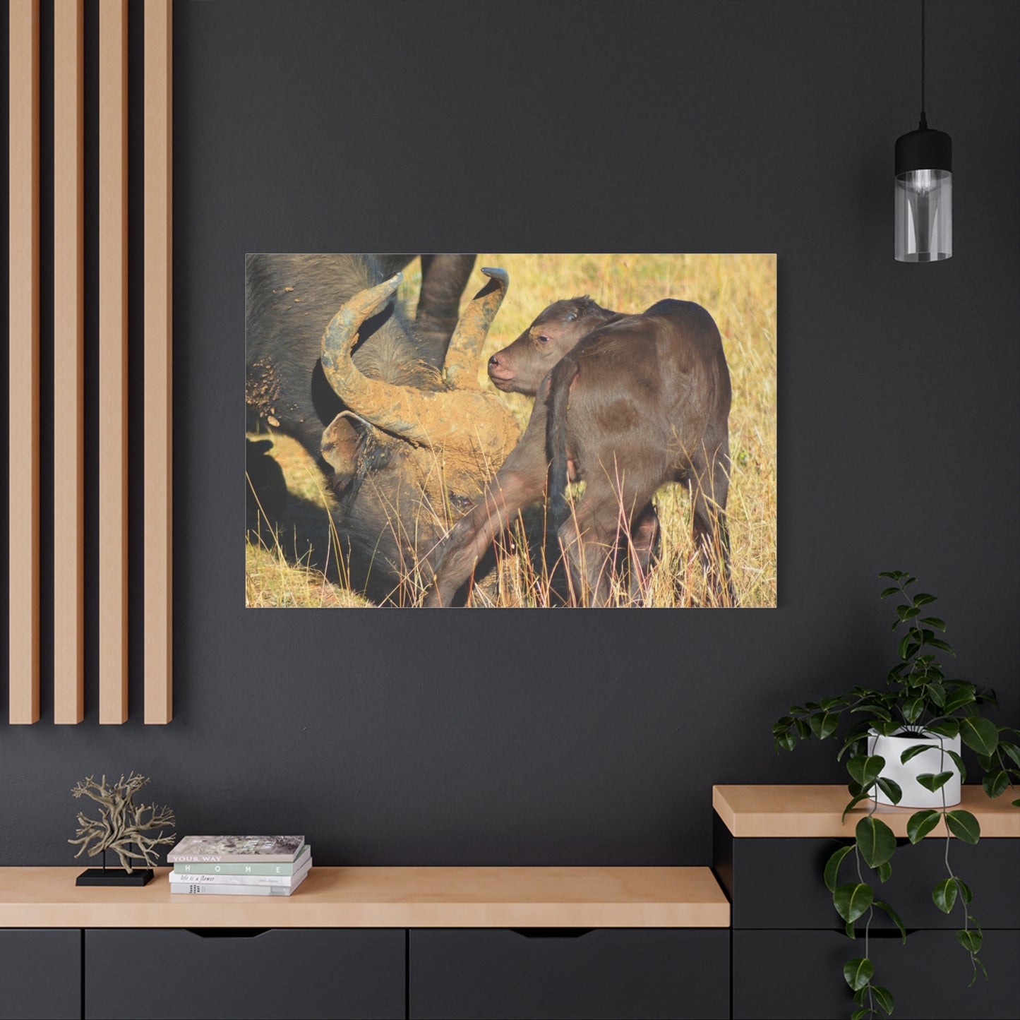 Cape Buffalo Tends to Calf