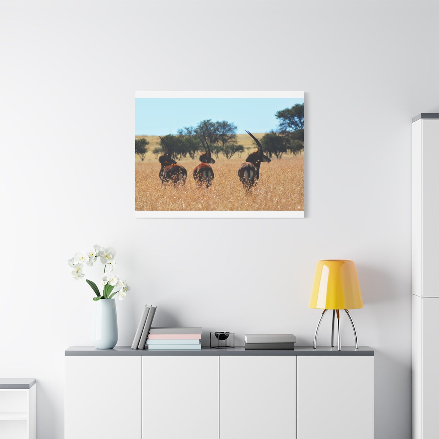 Sable Trio in Africa Canvas Print