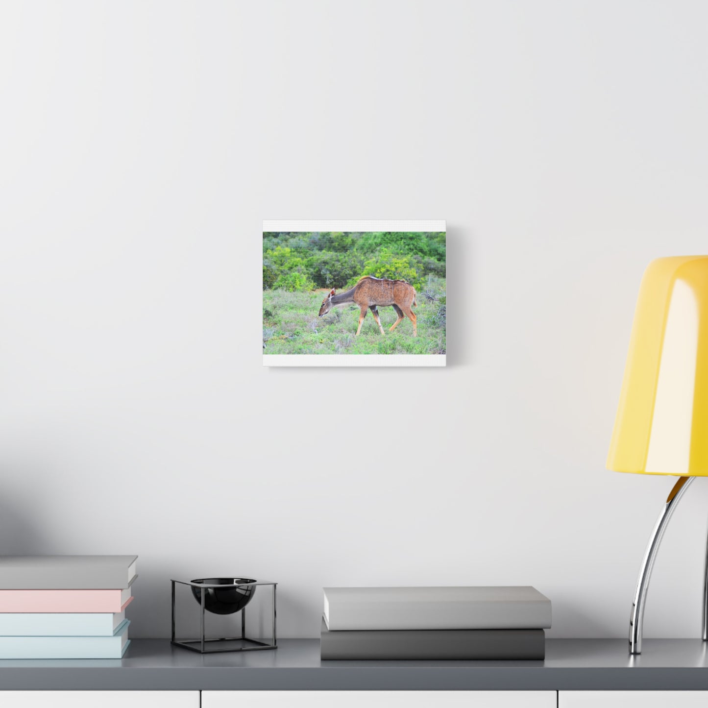 Africa Kudu Cow - Canvas Print