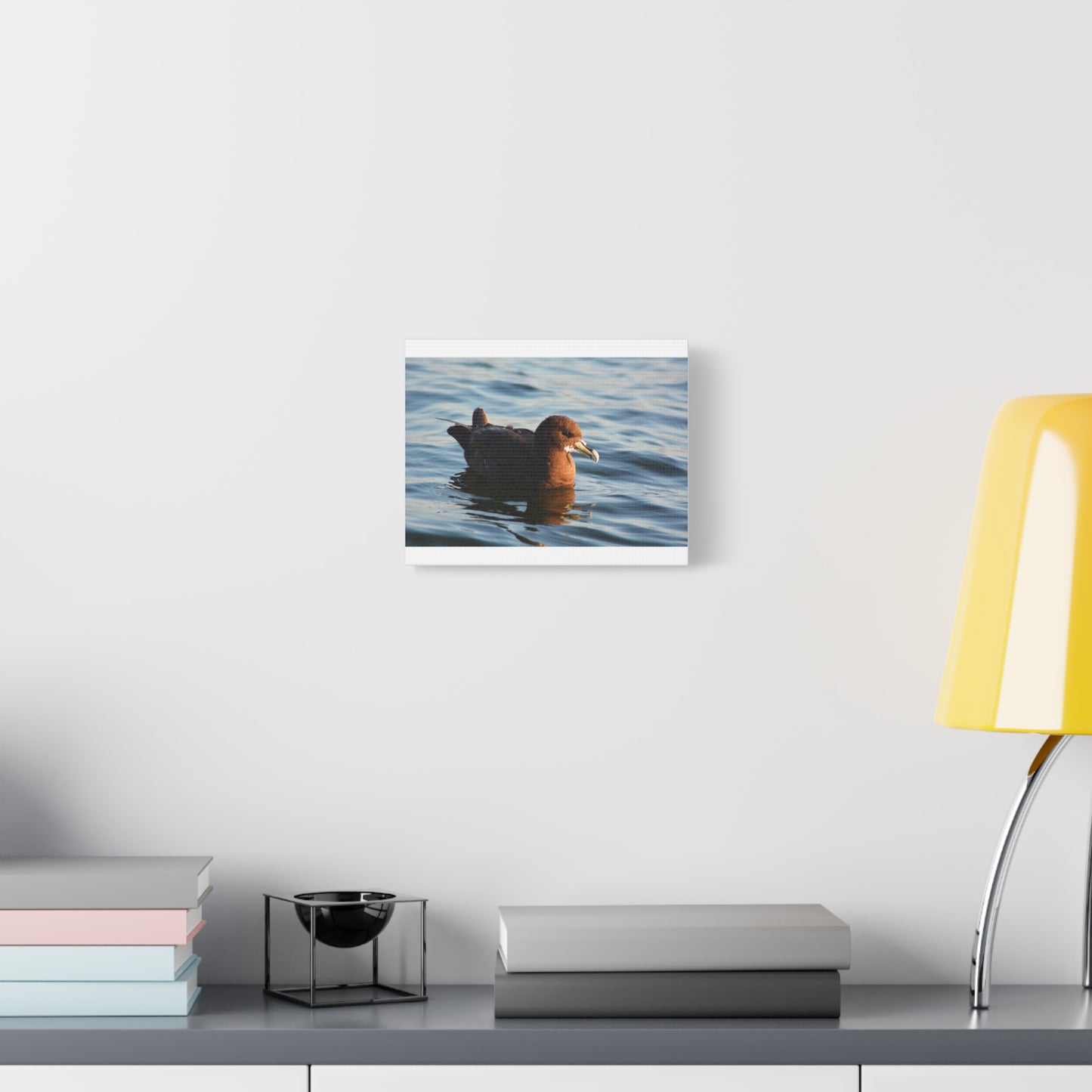 Bird Art Wall Decor, Coastal Wall Art, Ocean Decor, Nature Photography, Sea Bird Print