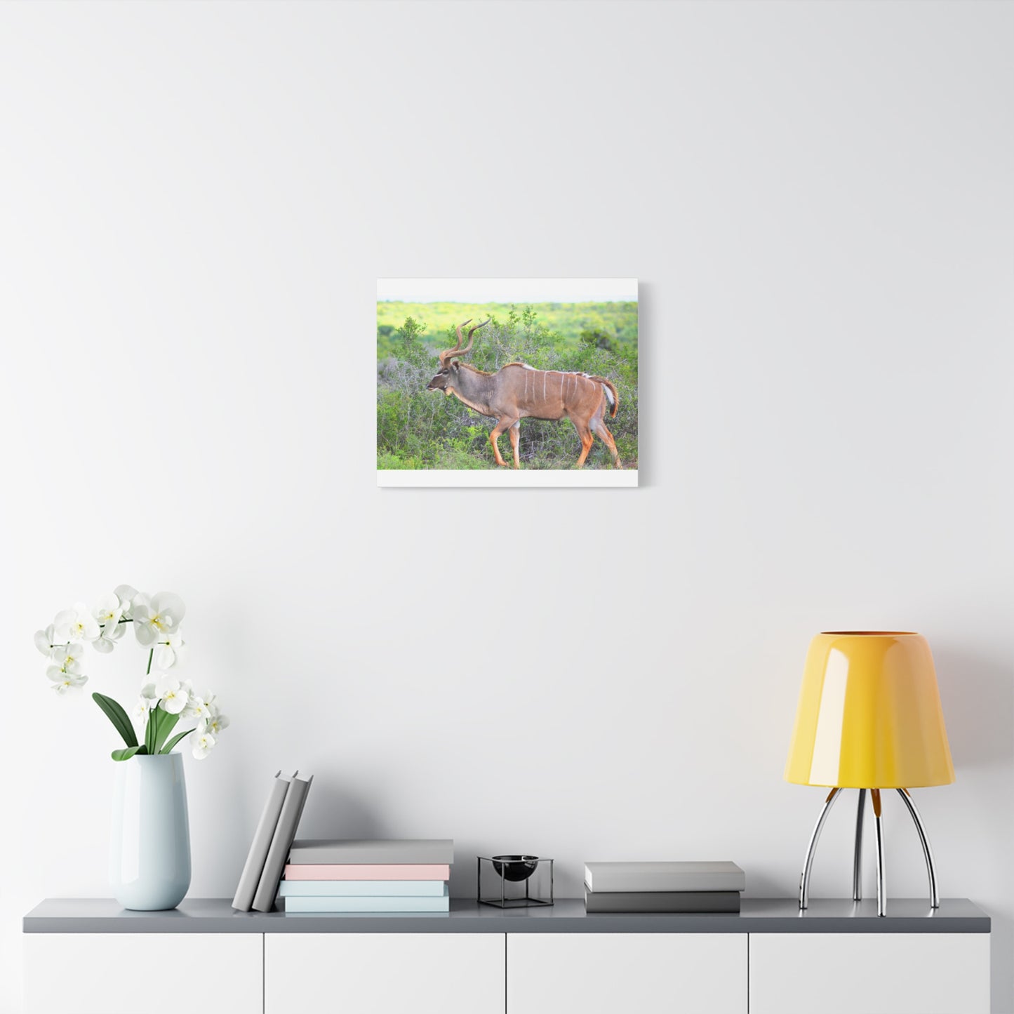 Africa Kudu Bull - Canvas Print