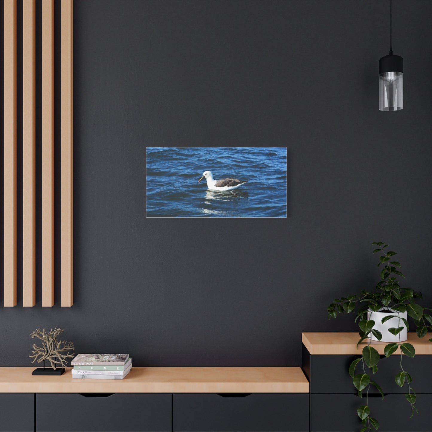 Albatross Canvas Print Sea Bird