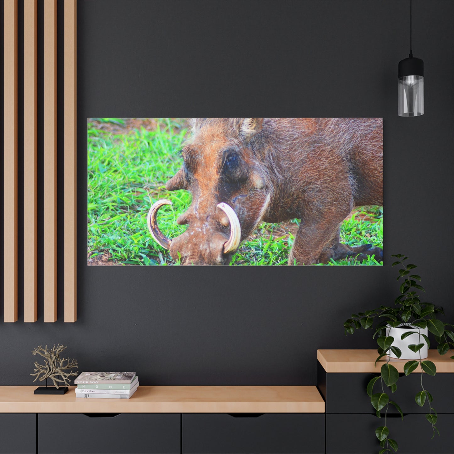 African Warthog Eating - Canvas Print