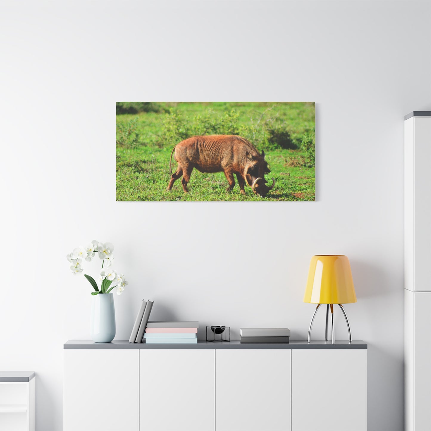 African Warthog - Canvas Print