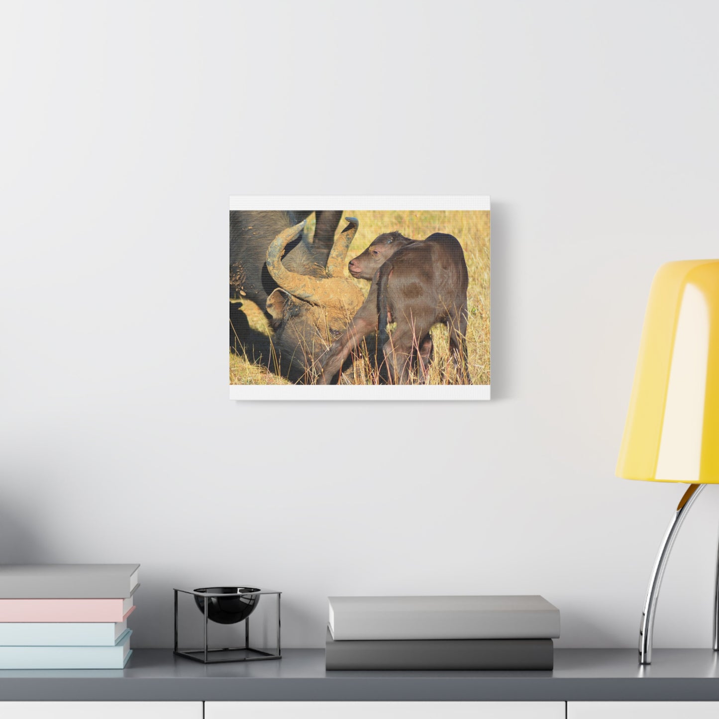 Cape Buffalo Tends to Calf