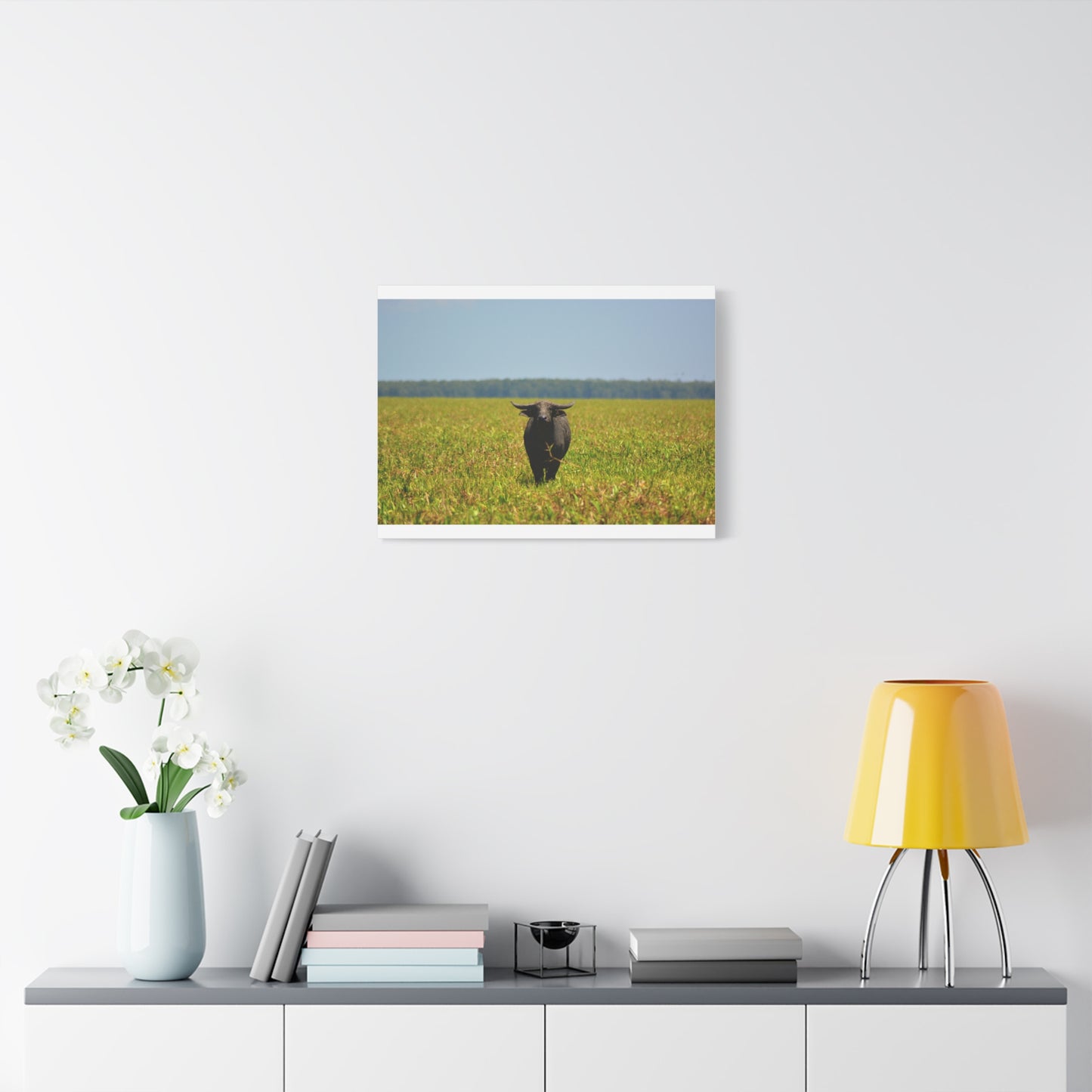 Asiatic Water Buffalo Australian Outback - Canvas Print