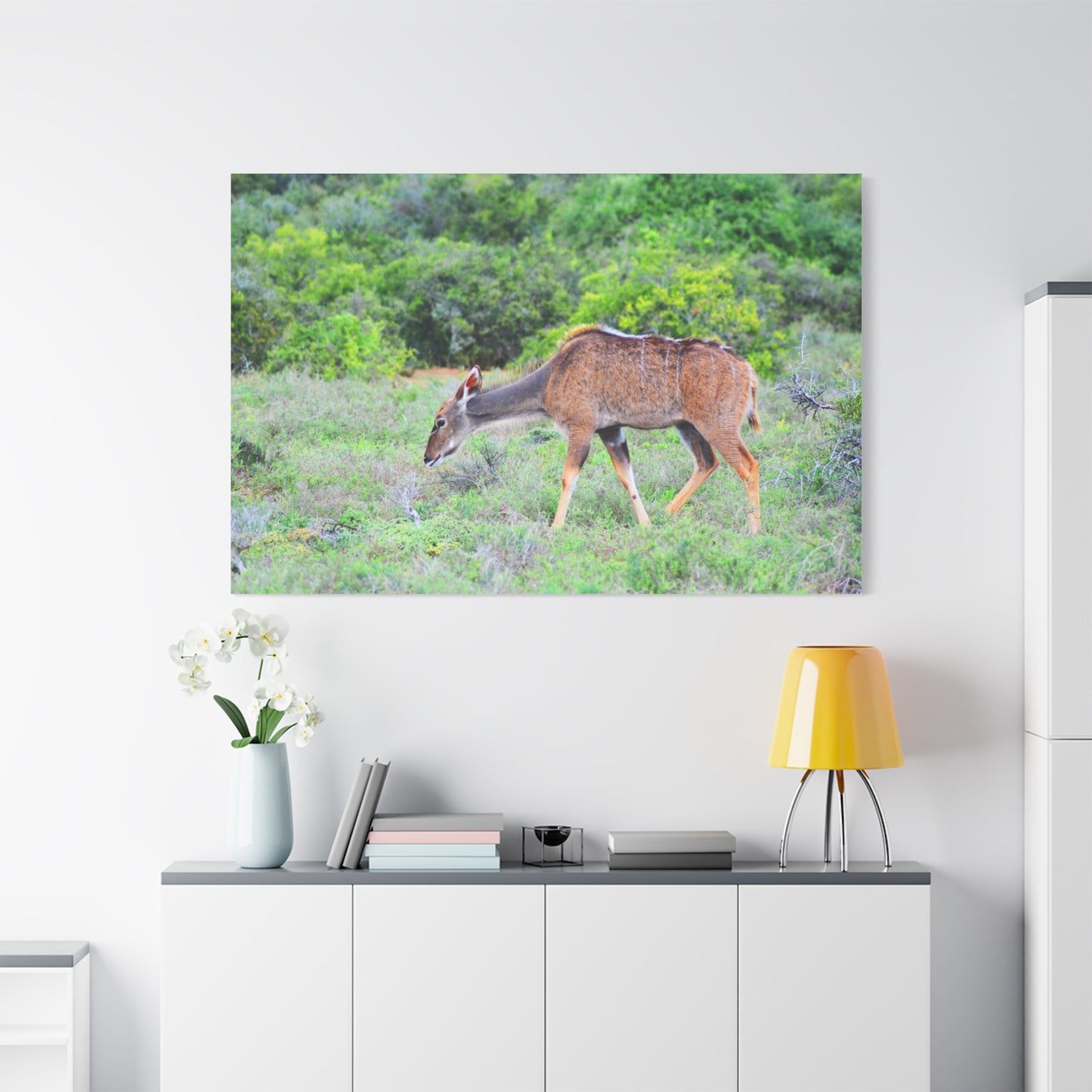 Africa Kudu Cow - Canvas Print