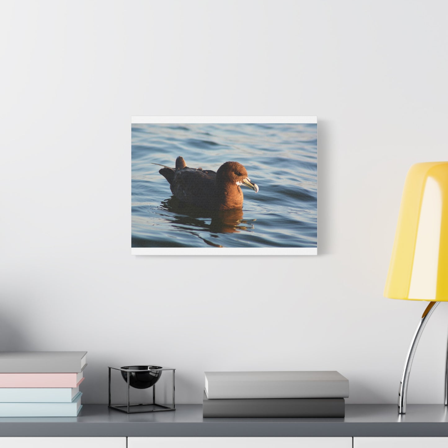 Bird Art Wall Decor, Coastal Wall Art, Ocean Decor, Nature Photography, Sea Bird Print