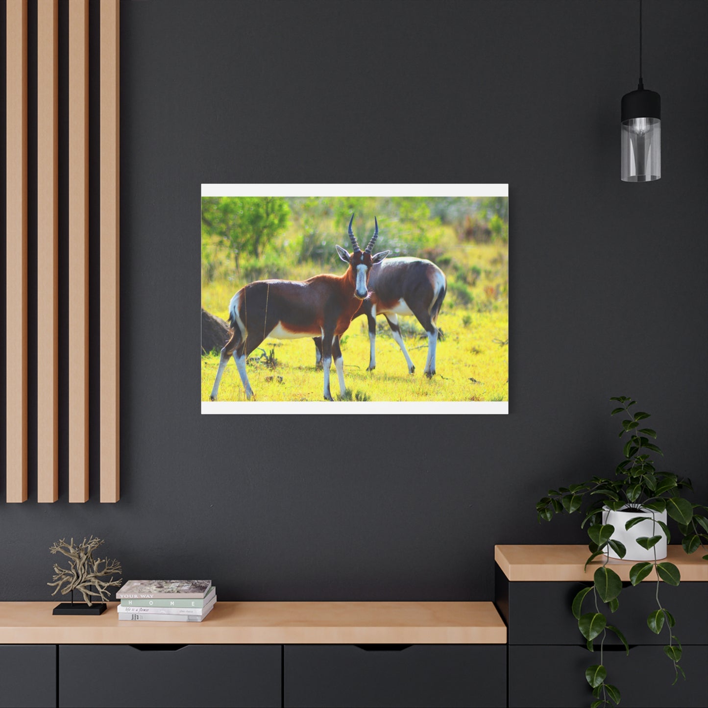 Blesbok in Africa - Canvas Print
