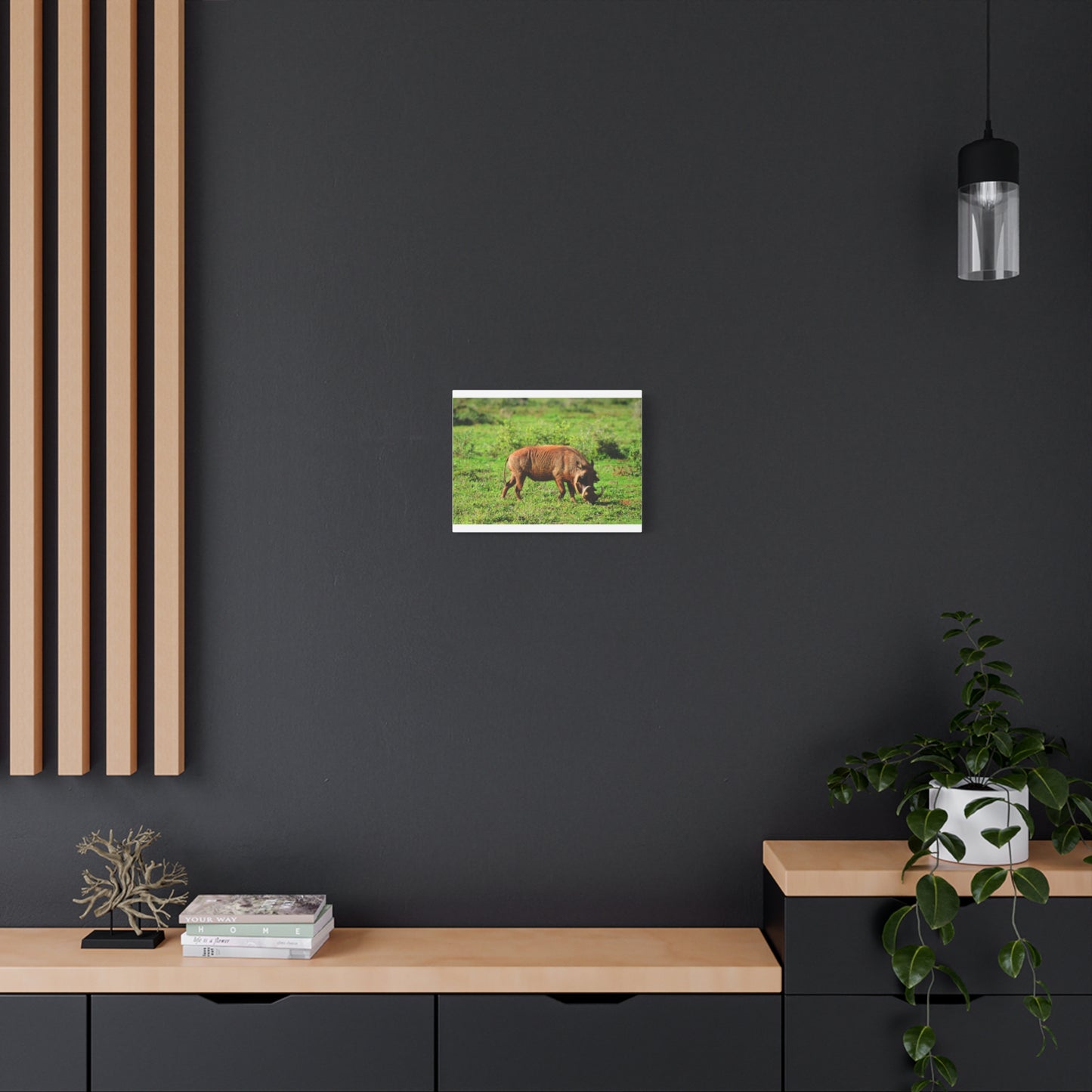 African Warthog - Canvas Print