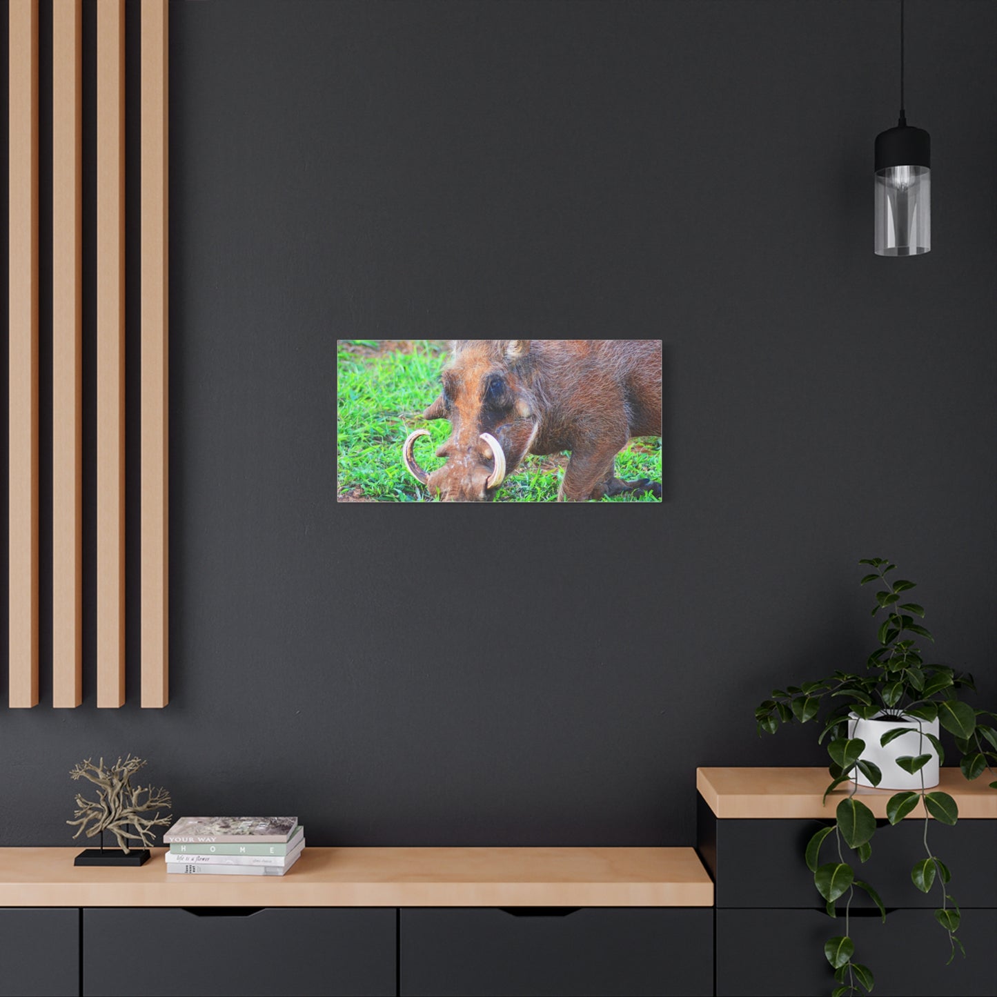 African Warthog Eating - Canvas Print