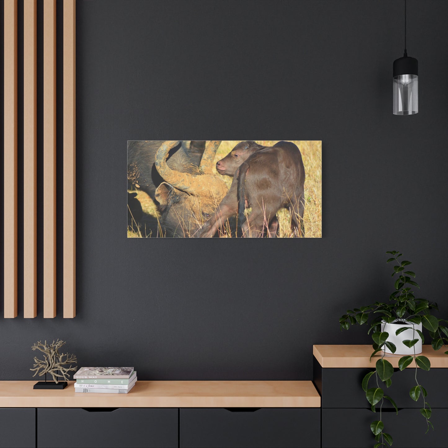 Cape Buffalo Tends to Calf