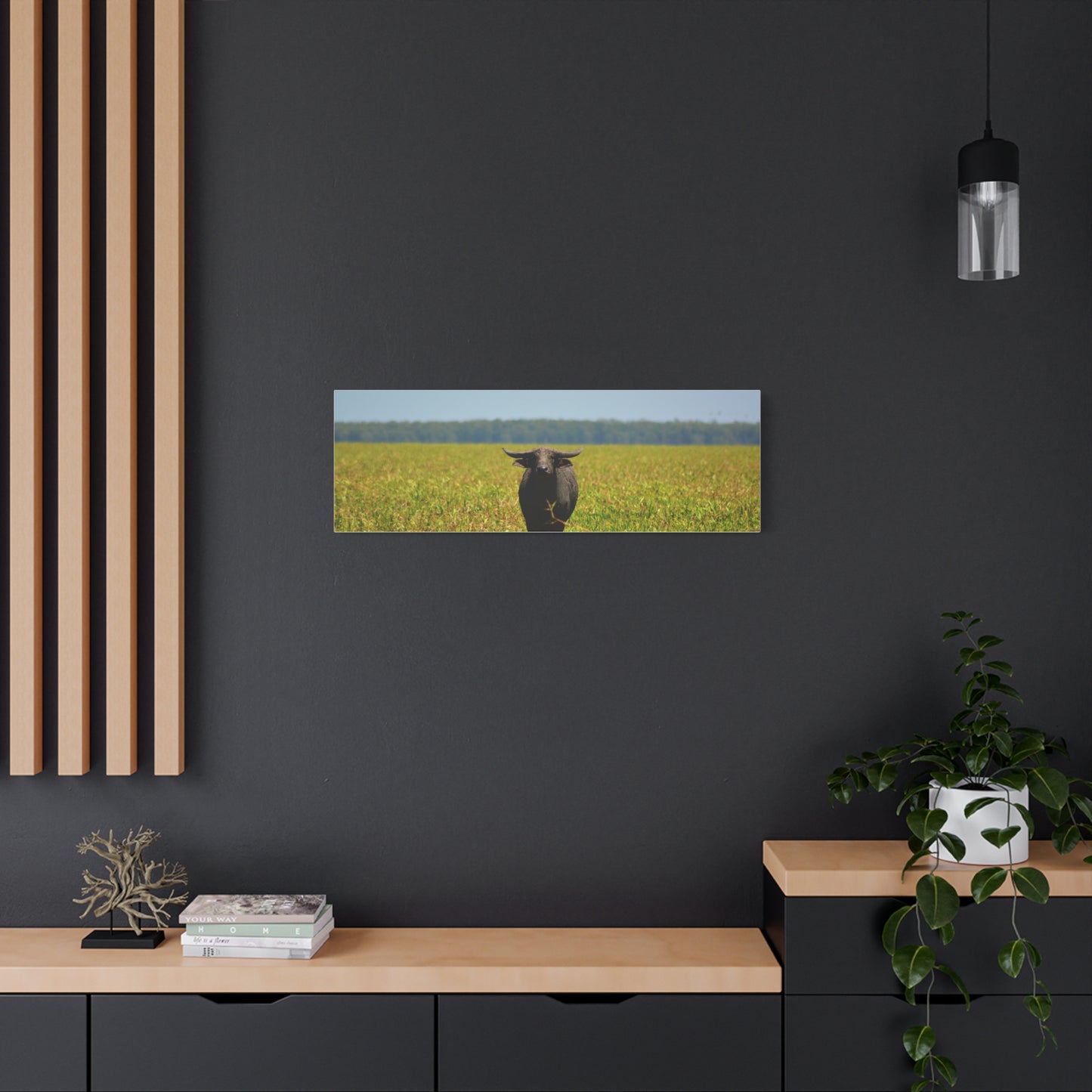 Asiatic Water Buffalo Australian Outback - Canvas Print