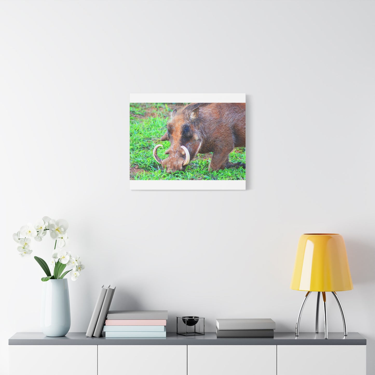 African Warthog Eating - Canvas Print