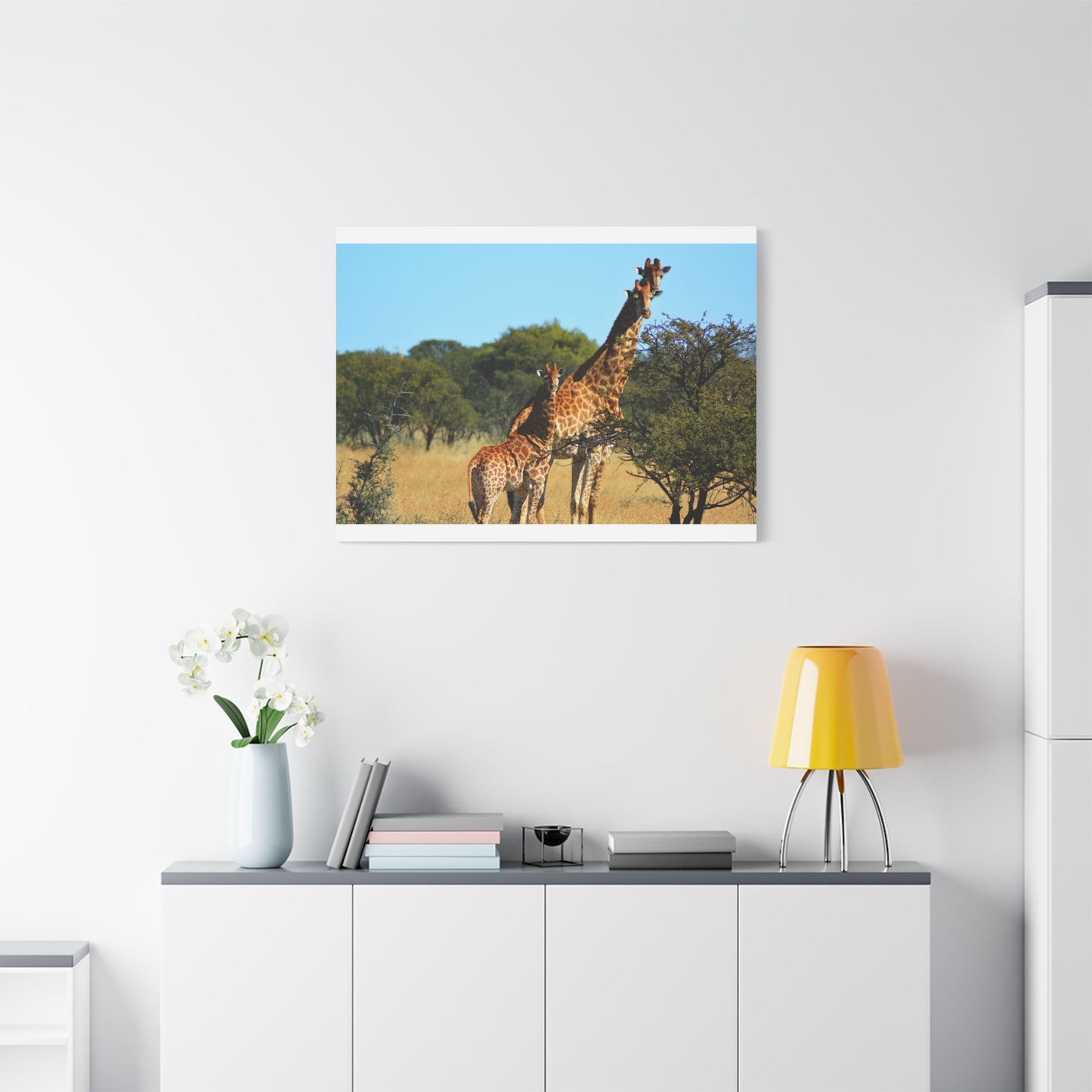 Giraffe Family in Africa