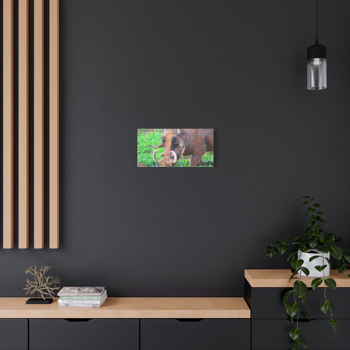 African Warthog Eating - Canvas Print