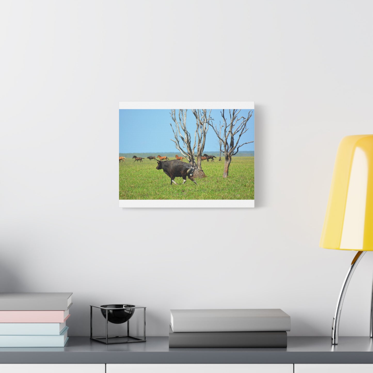 Australia Banteng - Canvas Print