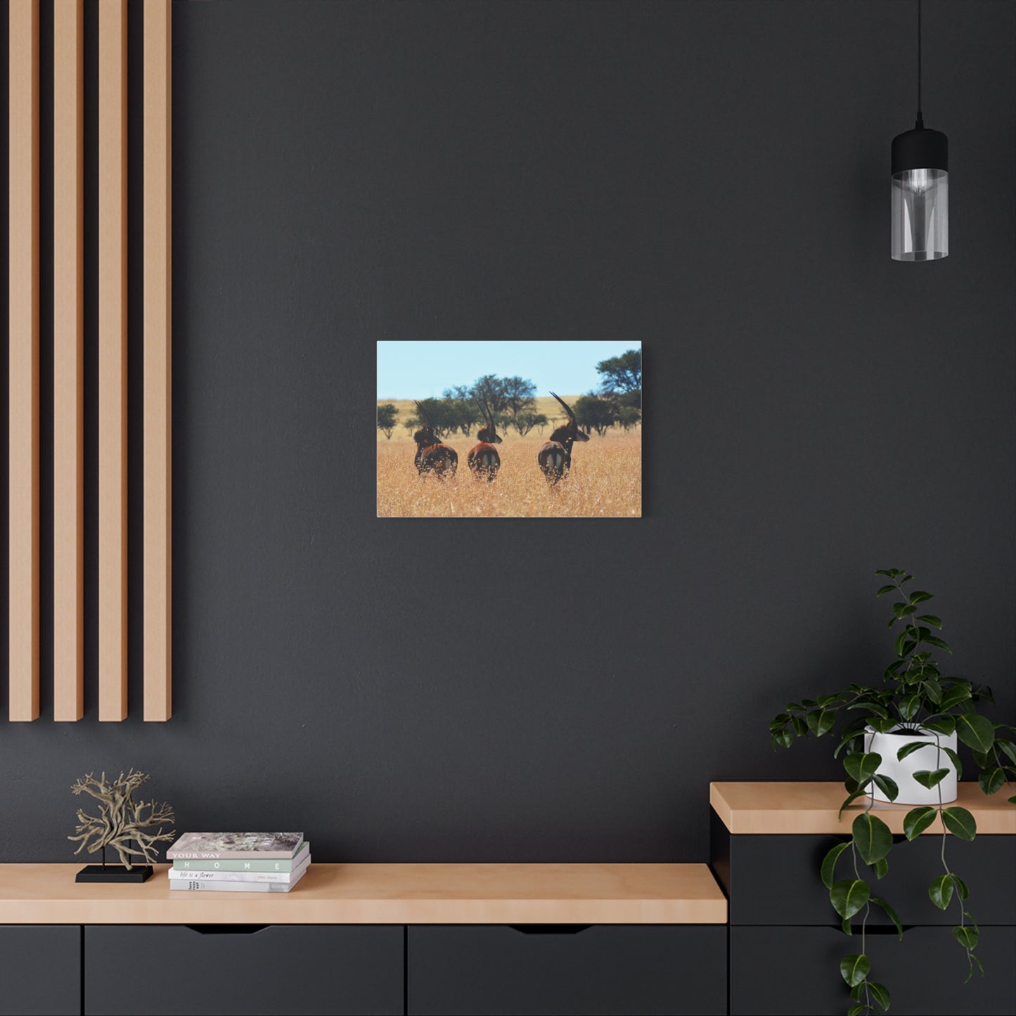 Sable Trio in Africa Canvas Print