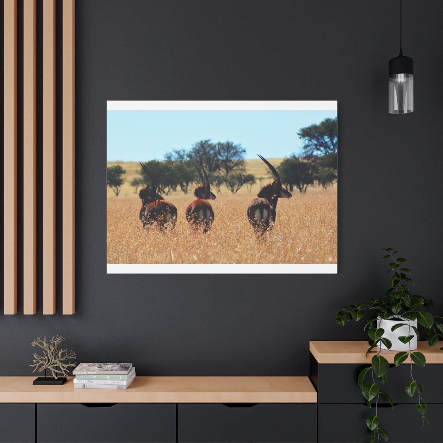 Sable Trio in Africa Canvas Print