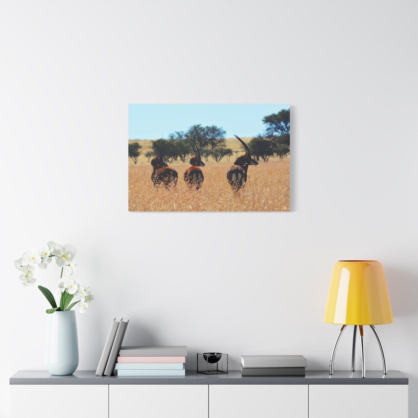 Sable Trio in Africa Canvas Print
