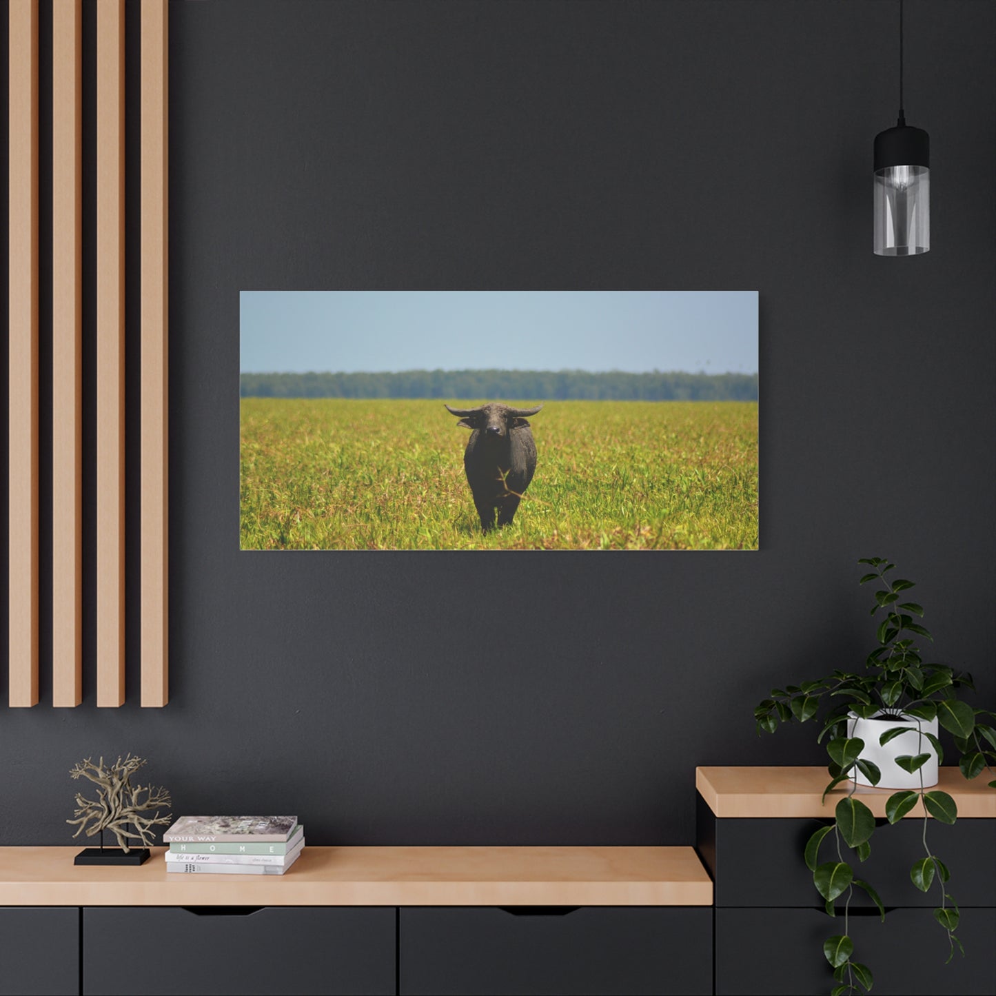 Asiatic Water Buffalo Australian Outback - Canvas Print