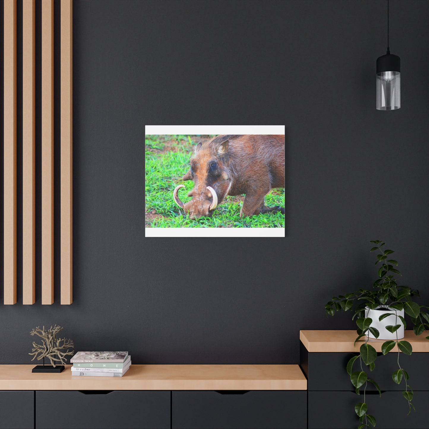African Warthog Eating - Canvas Print