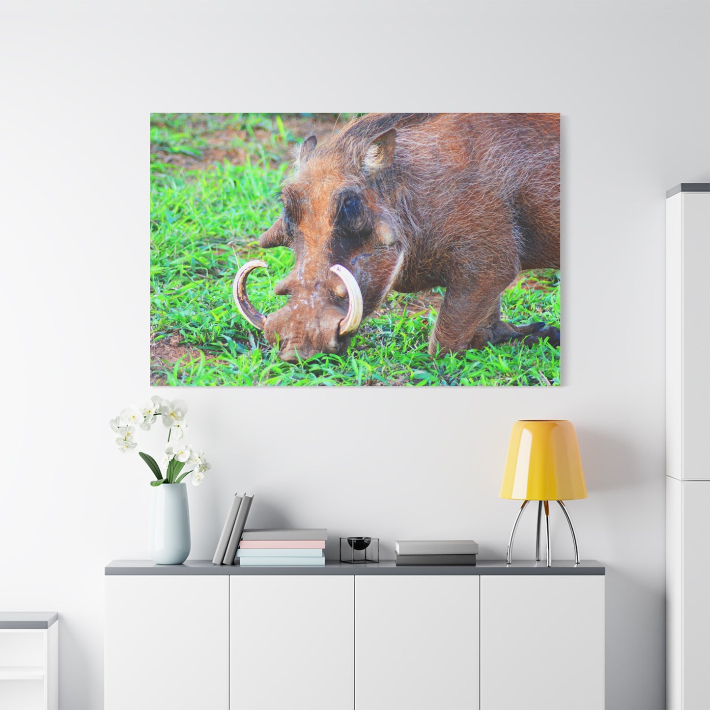 African Warthog Eating - Canvas Print